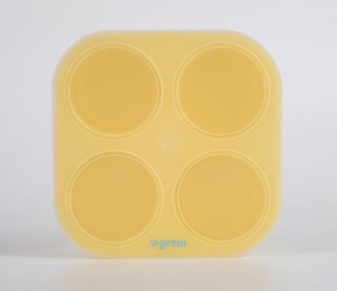 Recipient silicon stocare hrana [2]