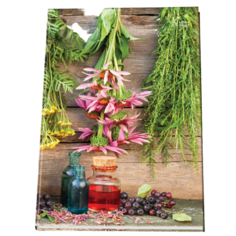 Registru A4 Papirny BRno ZKN 54100 CL, 96 file, velin, coperta cartonata [4]