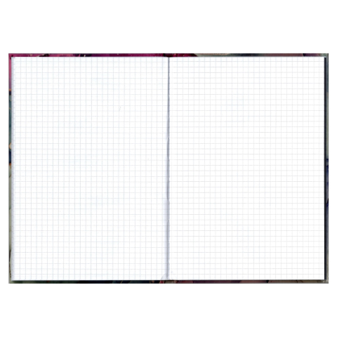 Registru a5 96 file aritmetica diverse modele educa [1]