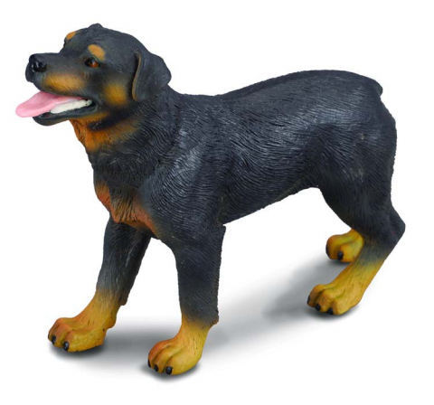 Jucării și Jocuri pentru copii - Rottweiler - Collecta