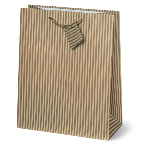 Sacosa cu dungi, din hartie cu maner din snur, 33 x 45.7 x 10.2 cm  varsta 3 ani+,6 ani+,8 ani+ [2]