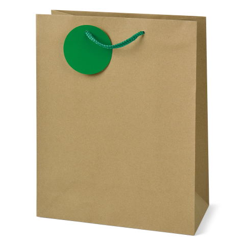 Sacosa Kraft, din hartie cu maner din snur, 17.8 x 23 x 9.8 cm  varsta 6 ani+,8 ani+ [1]