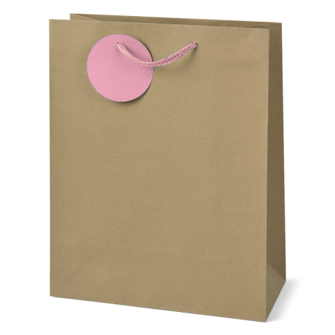 Sacosa Kraft, din hartie cu maner din snur, 17.8 x 23 x 9.8 cm  varsta 6 ani+,8 ani+ [3]