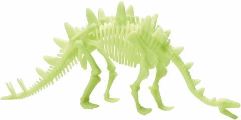 Schelet Stegosaurus reflectorizant [1]