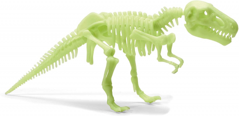 Schelet T-Rex reflectorizant [1]