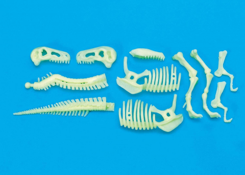 Schelet T-Rex reflectorizant [2]