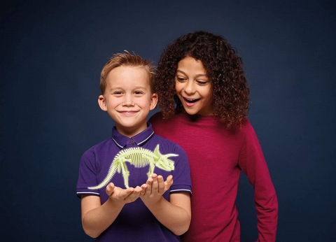 Schelet Triceratops reflectorizant [3]