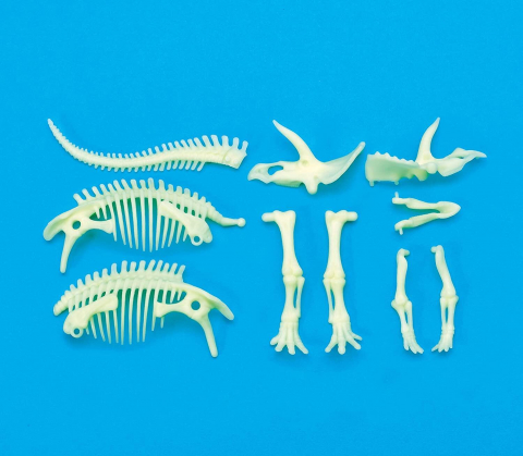 Schelet Triceratops reflectorizant [2]