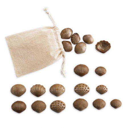 Scoici tactile, set senzorial cu 36 piese, Edx Education, 2-7 ani [5]