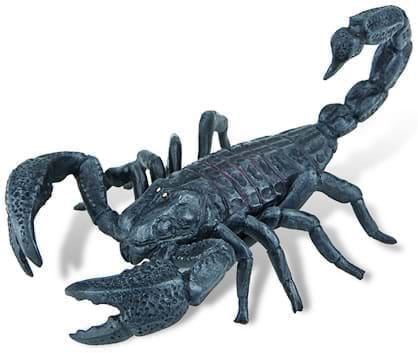 Jucării și Jocuri pentru copii - Scorpion
