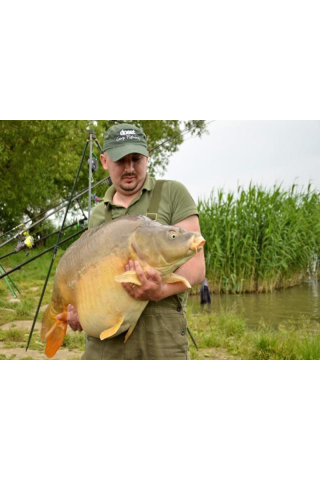 Select Baits boilies Belachan + Mussel & Belachan 16mm (fierte) / 1 kg [3]
