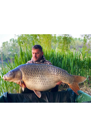 Select Baits Boilies Crab & Krill 20mm (fierte) [3]