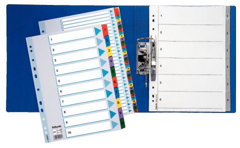 Separatoare index carton 1-12 mylar esselte [1]