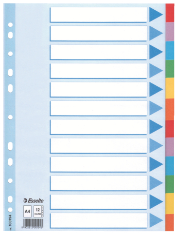 Birotică și Papetărie - Separatoare index carton 12 coli standard esselte