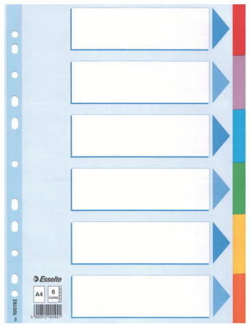 Birotică și Papetărie - Separatoare index carton 6 coli standard esselte