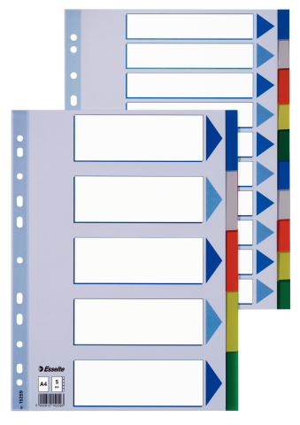 Separatoare index plastic 5 culori esselte [2]