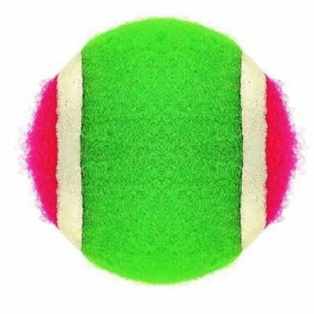 Set 2 Palete cu Arici, Scai si Velcro, Joc Arunca si Prinde Mingea [5]