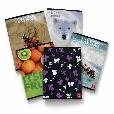 Caiete - Set 5 x Caiet Matematica, A5, 48 File, Capsat, Pigna