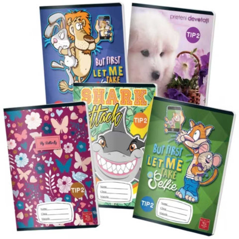 Caiete - Set 5 x Caiet Tip 2, Format A5, 24 File, pentru scoala