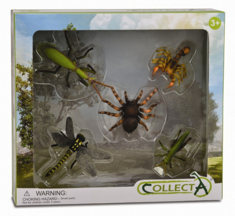Jucării și Jocuri pentru copii - Set 5 figurine Insecte - Collecta