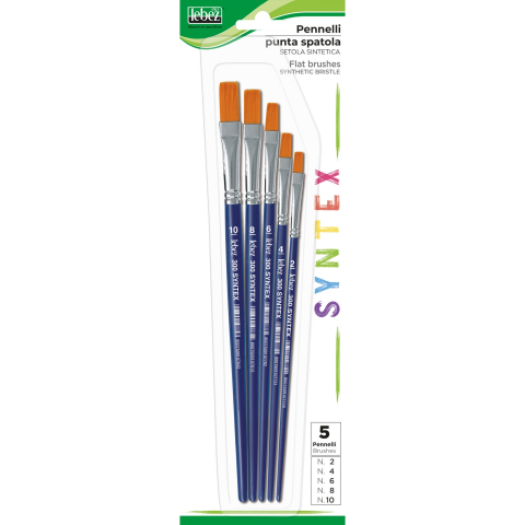 Rechizite Școlare - Set 5 pensule, varf drept sintetic (blister), copii varsta 3 ani+,6 ani+,8 ani+