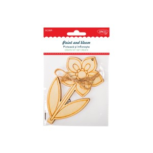 Art & Craft si Artizanat - Set creativ - sc089 picteaza si infloreste daco