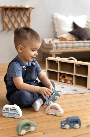 Set de 6 masinute din lemn, Speedy Monkey pentru Baiat varsta 1 - 3, 3 - 6 [1]