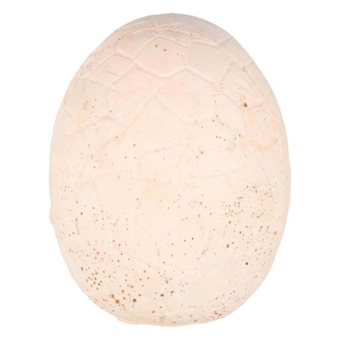 Set excavatie dinozauri copii, ou mare cu 12 dinozauri, jucarie educativa STEM, 6 ani+ [3]