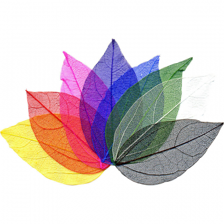 Art & Craft si Artizanat - Set frunze decorative, schelet, 50 buc, 4-6 cm, multicolore