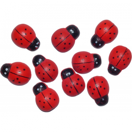 Accesorii Craft - Set buburuze din lemn pentru activitati craft