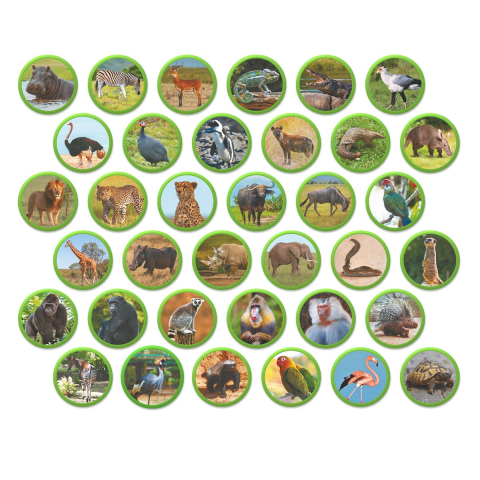 Set magnetic Montessori, Animale din Africa, varsta 3-7 ani [1]