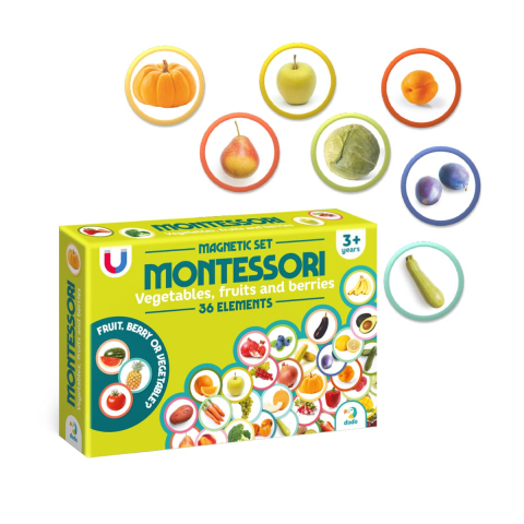 Set magnetic Montessori, Fructe si legume, varsta 3-7 ani [1]