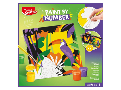 Set Maped Creativ Paint by number - Tucan și Fluture [1]