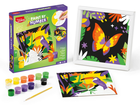 Set Maped Creativ Paint by number - Tucan și Fluture [2]