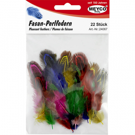 Set pene de fazan, culori asortate, 22 bucati [1]