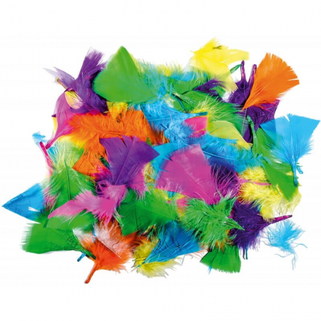 Art & Craft si Artizanat - Set 24 bucati pene deco.