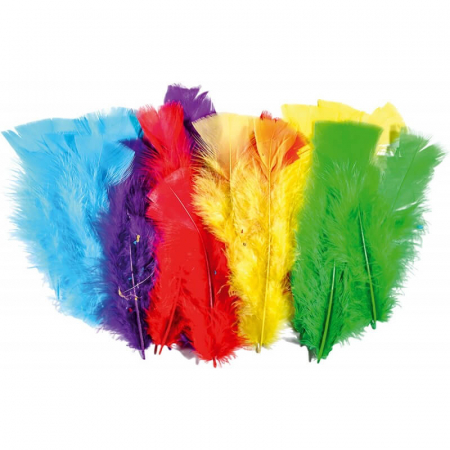 Art & Craft si Artizanat - Set 8 grame pene deco.