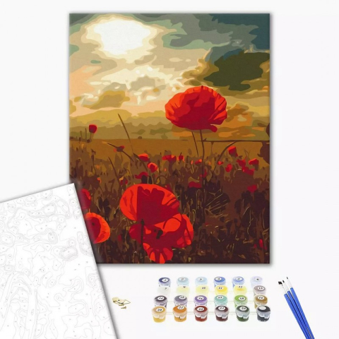 Art & Craft si Artizanat - Set Pictura pe numere 40x50cm, Brushme - Camp cu maci - panza, cadru de lemn, pensule, culori acrilice, BS51961