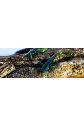 Shad FishUp Catfish 7.5cm #045 Green Pumpkin Red & Black 7.5cm Green Pumpkin Red & Black [1]