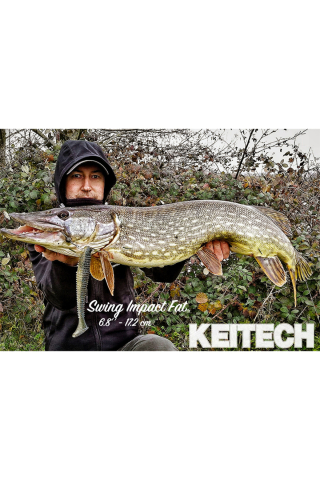 Shad Keitech Swing Impact FAT UA Limited EA#12 7.1cm [3]