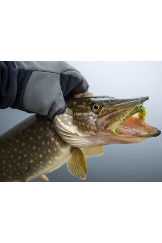 Shad Keitech Swing Impact Slim Sexy Shad 426 6.3cm [1]