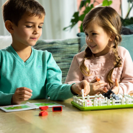 Jocuri de logica si gandire ⭐ Smart Farmer, Smart Games [6]