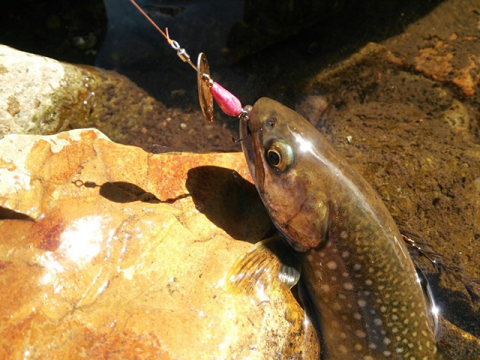 Smith AR-S Spinner Trout 3.5g 07 AR-S Spinner Trout 3.5g 07 [2]