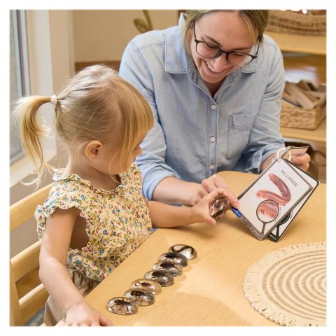 Specimen Stones, pietre din acril cu creaturi taratoare, copii varsta 3-10 ani [2]