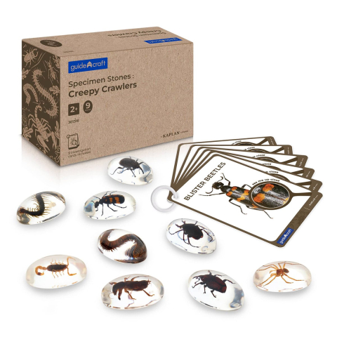 Jucării și Jocuri pentru copii - Specimen Stones, pietre din acril cu creaturi taratoare, copii varsta 3-10 ani