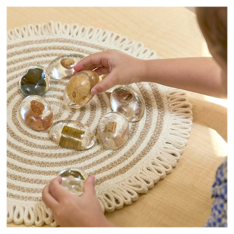 Specimen Stones, pietre din acril cu fosile, copii varsta 3-10 ani [1]