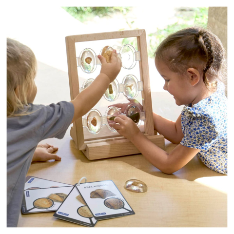 Specimen Stones, pietre din acril cu fosile, copii varsta 3-10 ani [3]