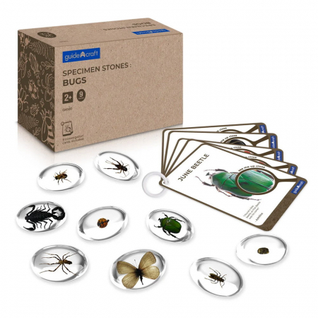 Jucării STEM, Știință şi Experimente - Specimen Stones, pietre din acril cu insecte, Guidecraft, 2-10 ani