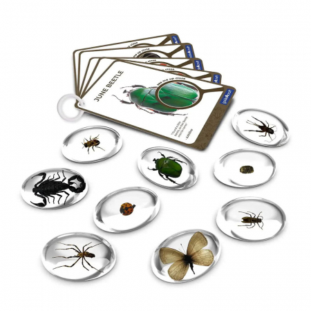 Specimen Stones, pietre din acril cu insecte, Guidecraft, 2-10 ani [3]