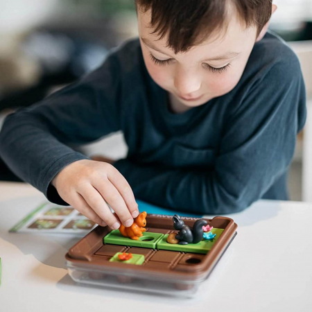 Jocuri de logica si gandire ⭐ Squirrels Go Nuts [4]